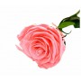 Rosa eterna Rosewood 25cm