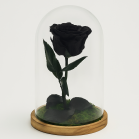Mundo Eterno | Rosa Preservada Negra en Cúpula de Cristal | Rosa Eterna Natural 22x12 cm | Regalo Original
