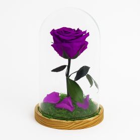 Mundo Eterno | Rosa Preservada Lila Oscuro en Cúpula de Cristal | Rosa Eterna Natural 22x12 cm | Regalo Original