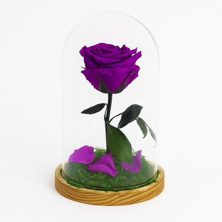 Mundo Eterno | Rosa Preservada Lila Oscuro en Cúpula de Cristal | Rosa Eterna Natural 22x12 cm | Regalo Original