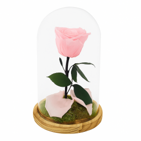 Mundo Eterno | Rosa Preservada Ligth Pink en Cúpula de Cristal | Rosa Eterna Natural 22x12 cm | Regalo Original