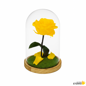 Mundo Eterno | Rosa Preservada Amarillo Eléctrico en Cúpula de Cristal | Rosa Eterna Natural 22x12 cm | Regalo Original