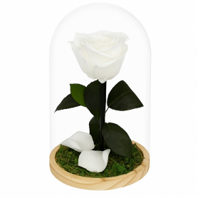 Mundo Eterno | Rosa Preservada Blanca en Cúpula de Cristal | Rosa Eterna Natural 22x12 cm | Regalo Original