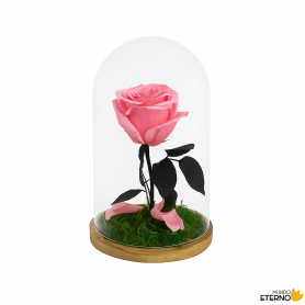 Mundo Eterno | Rosa Preservada Rosa Pastel en Cúpula de Cristal | Rosa Eterna Natural 22x12 cm | Regalo Original