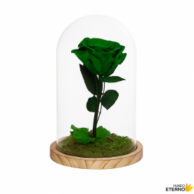 Mundo Eterno | Rosa Preservada Verde en Cúpula de Cristal | Rosa Eterna Natural 22x12 cm | Regalo Original