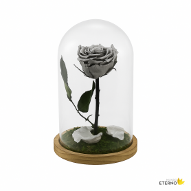 Mundo Eterno | Rosa Preservada Plata en Cúpula de Cristal | Rosa Eterna Natural 22x12 cm | Regalo Original