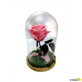 Rosa Eterna Rosa Pastel en Cúpula de cristal