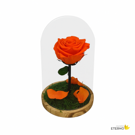 Mundo Eterno | Rosa Preservada Naranja en Cúpula de Cristal | Rosa Eterna Natural 22x12 cm | Regalo Original