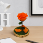 Mundo Eterno | Rosa Preservada Naranja en Cúpula de Cristal | Rosa Eterna Natural 22x12 cm | Regalo Original