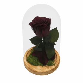 Mundo Eterno | Rosa Preservada Burdeos en Cúpula de Cristal | Rosa Eterna Natural 22x12 cm | Regalo Original
