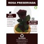 Mundo Eterno | Rosa Preservada Burdeos en Cúpula de Cristal | Rosa Eterna Natural 22x12 cm | Regalo Original