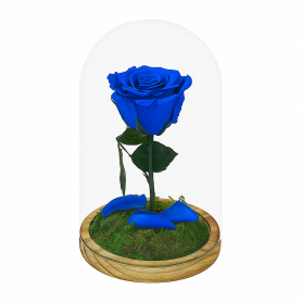 Mundo Eterno | Rosa Preservada Azul Oscuro en Cúpula de Cristal | Rosa Eterna Natural 22x12 cm | Regalo Original