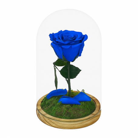 Mundo Eterno | Rosa Preservada Azul Oscuro en Cúpula de Cristal | Rosa Eterna Natural 22x12 cm | Regalo Original
