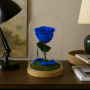 Mundo Eterno | Rosa Preservada Azul Oscuro en Cúpula de Cristal | Rosa Eterna Natural 22x12 cm | Regalo Original