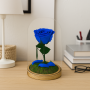 Mundo Eterno | Rosa Preservada Azul Oscuro en Cúpula de Cristal | Rosa Eterna Natural 22x12 cm | Regalo Original