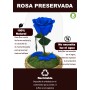 Mundo Eterno | Rosa Preservada Azul Oscuro en Cúpula de Cristal | Rosa Eterna Natural 22x12 cm | Regalo Original
