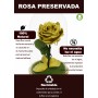 Mundo Eterno | Rosa Preservada Oro en Cúpula de Cristal | Rosa Eterna Natural 22x12 cm | Regalo Original