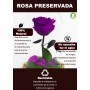 Mundo Eterno | Rosa Preservada Lila Oscuro en Cúpula de Cristal | Rosa Eterna Natural 22x12 cm | Regalo Original