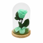Mundo Eterno | Rosa Preservada Verde Menta en Cúpula de Cristal | Rosa Eterna Natural 22x12 cm | Regalo Original