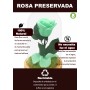 Mundo Eterno | Rosa Preservada Verde Menta en Cúpula de Cristal | Rosa Eterna Natural 22x12 cm | Regalo Original