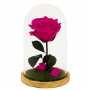 Mundo Eterno | Rosa Preservada Fucsia en Cúpula de Cristal | Rosa Eterna Natural 22x12 cm | Regalo Original