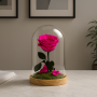 Mundo Eterno | Rosa Preservada Fucsia en Cúpula de Cristal | Rosa Eterna Natural 22x12 cm | Regalo Original