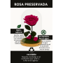 Mundo Eterno | Rosa Preservada Fucsia en Cúpula de Cristal | Rosa Eterna Natural 22x12 cm | Regalo Original