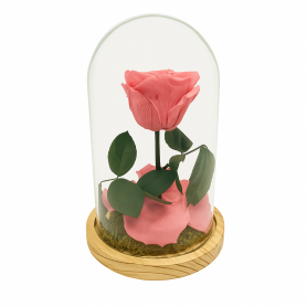 Mundo Eterno | Rosa Preservada Dusty Pink en Cúpula de Cristal | Rosa Eterna Natural 22x12 cm | Regalo Original