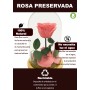 Mundo Eterno | Rosa Preservada Dusty Pink en Cúpula de Cristal | Rosa Eterna Natural 22x12 cm | Regalo Original