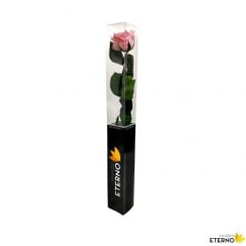 Rosa Eterna Rosa Pastel 55cm
