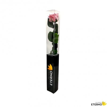 Rosa Eterna Rosa Pastel 55cm