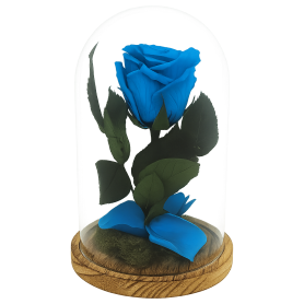 Mundo Eterno | Rosa Preservada Azul en Cúpula de Cristal | Rosa Eterna Natural 22x12 cm | Regalo Original