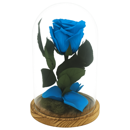 Mundo Eterno | Rosa Preservada Azul en Cúpula de Cristal | Rosa Eterna Natural 22x12 cm | Regalo Original