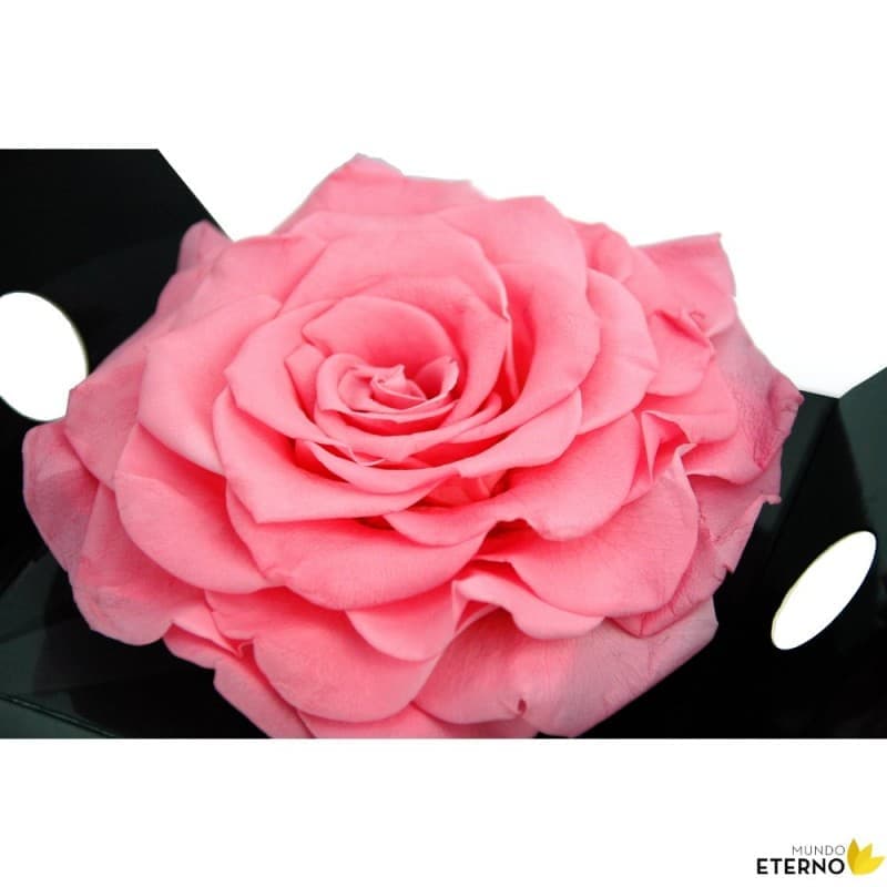Rosa Eterna Preservada - 55 Cm, Color Lila Oscuro - Sin Agua Ni Luz, Duradera Y Natural