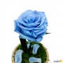 Rosa Eterna Azul Claro en Cúpula de cristal