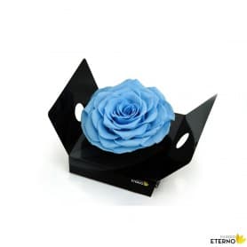 Rosa Eterna Azul Claro King