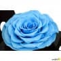 Rosa Eterna Azul Claro King