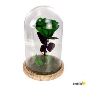 Rosa Eterna Verde en Cúpula de cristal