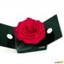 Rosa Eterna Rosa Pink Party  King