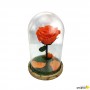 Rosa Eterna Naranja en Cúpula de cristal