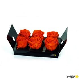 Rosa Eterna Naranja 6 Flores