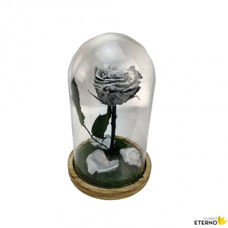Rosa Eterna Plata en Cúpula de cristal