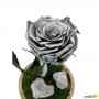 Rosa Eterna Plata en Cúpula de cristal