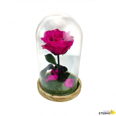 Rosa Eterna Fucsia en Cúpula de cristal