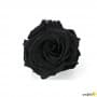 Rosa Eterna Negra King