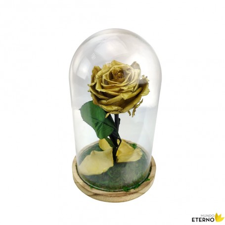 Rosa Eterna Oro en Cúpula de cristal