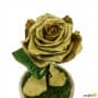 Rosa Eterna Oro en Cúpula de cristal