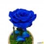 Rosa Eterna Azul Oscuro en Cúpula de cristal