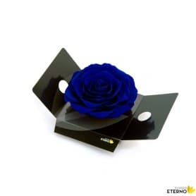 Rosa Eterna Azul Oscuro  King