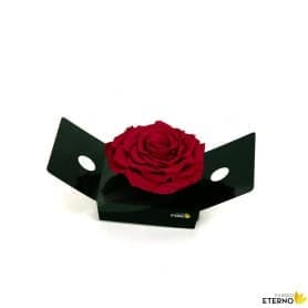 Rosa Eterna Rosa Eléctrico King